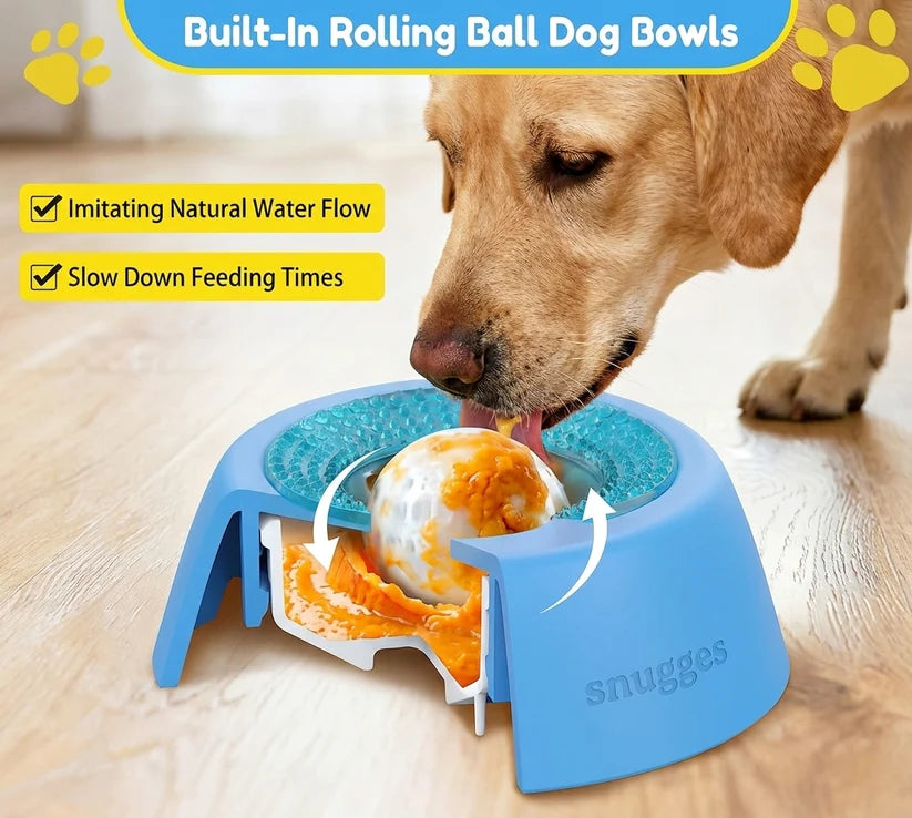 Slow Feed & No Spill Pet Bowl