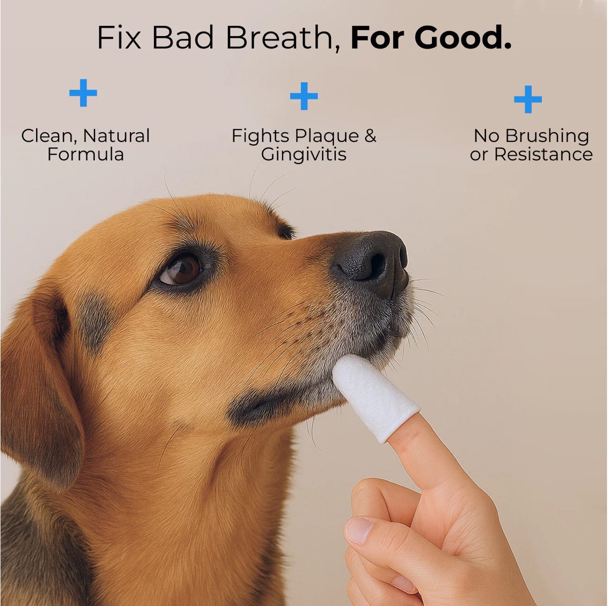 Pet Teeth Cleaning Finger Wipes
