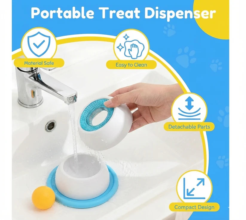 Slow Feed & No Spill Pet Bowl