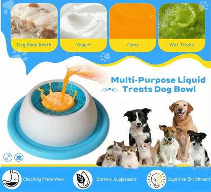 Slow Feed & No Spill Pet Bowl